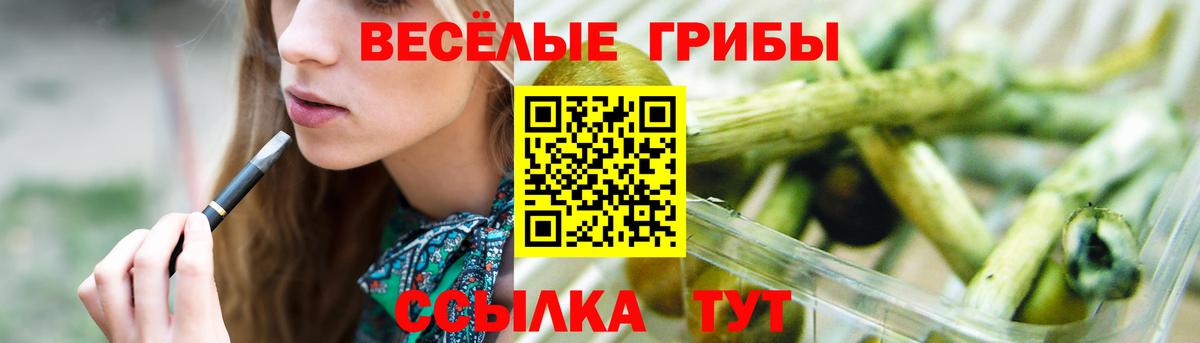 Новочеркасск  Псилоцибиновые грибы GOLDEN TEACHER  наркотики  Вход с VPN 