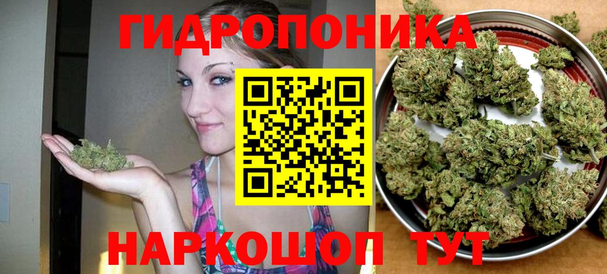 Новочеркасск  Марихуана SATIVA & INDICA  Вход с VPN  Каннабис White Widow 